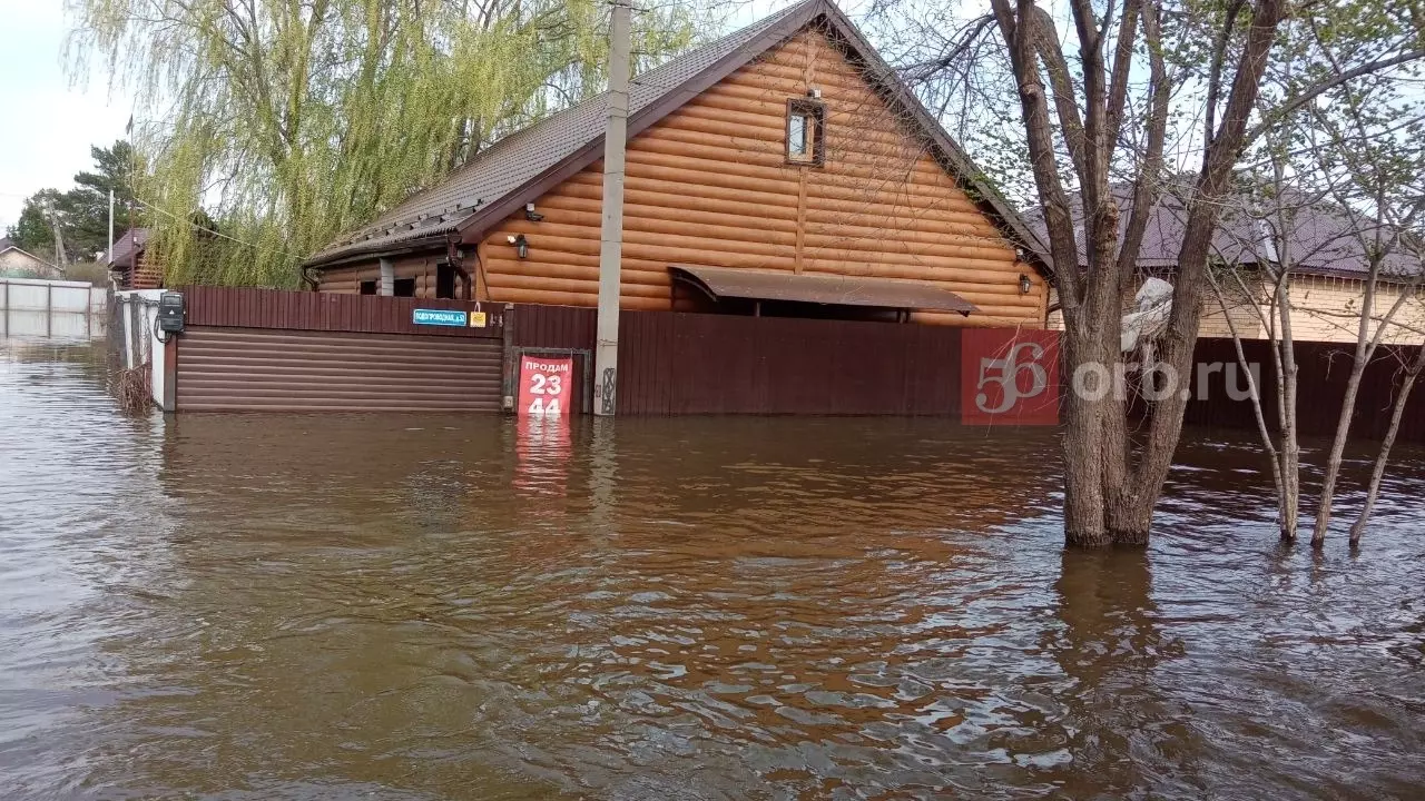 Потоп в СНТ «Осинки»