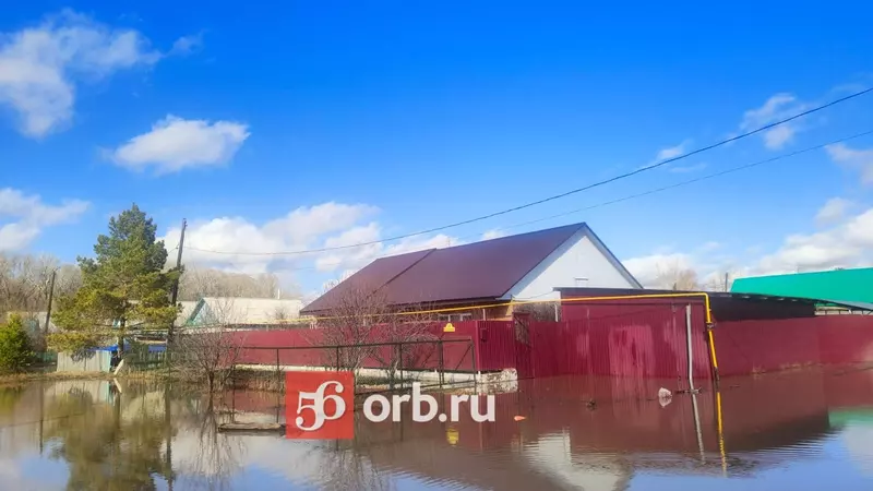 В отчетах вода спадает, во дворах оренбуржцев — прибывает. Репортаж из Кувандыка