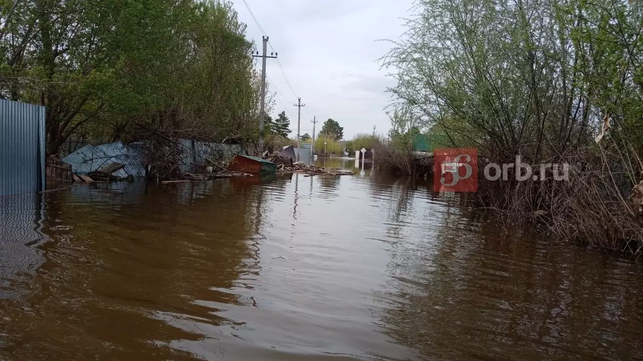Потоп в СНТ «Осинки»